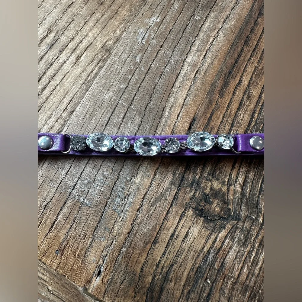 Purple Rhinestone Dog Collar